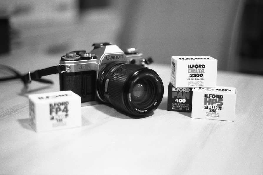 Пленка ilford pan 100 примеры фотографий